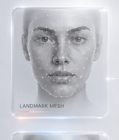 Landmark mesh example